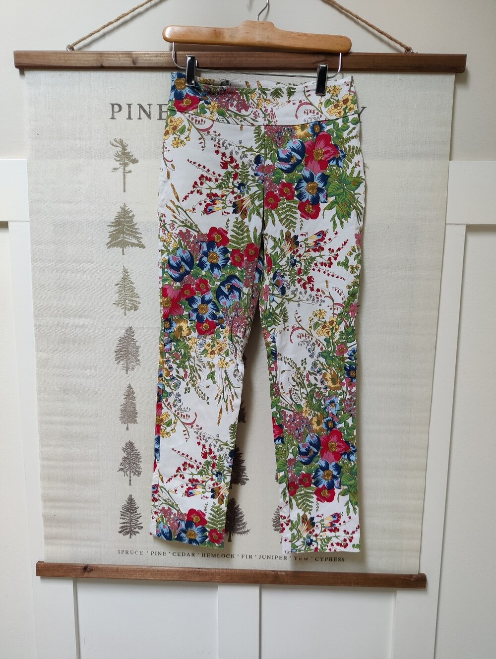 Up! Pants Thincredible-Fit Floral Pull-On Ankle Trousers | White Multi Size 4